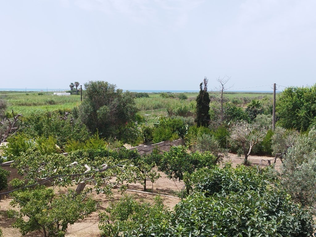 Giano Group Immobiliare